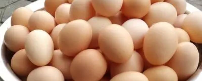 夏天4种方法保存鸡蛋 夏天保存鸡蛋的方法