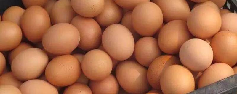 土鸡蛋外壳脏怎样清洗 买回来的土鸡蛋好脏,怎么清洗?