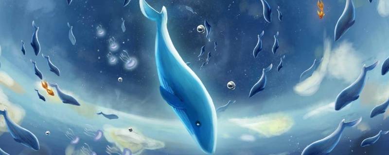 蓝鲸有多长（蓝鲸有多长有多重）