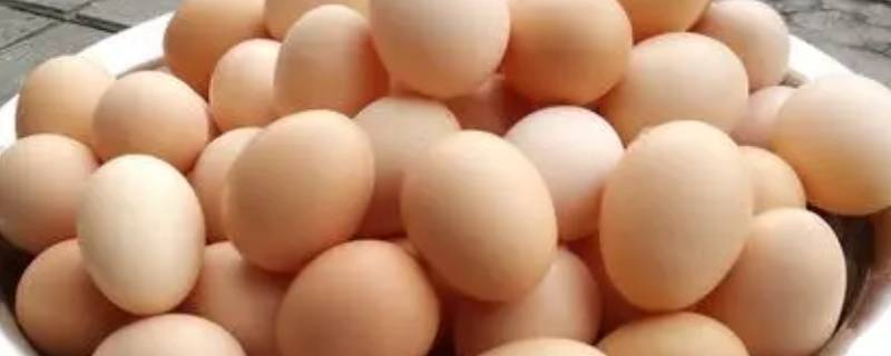 熟鸡蛋能放多久 常温下熟鸡蛋能放多久