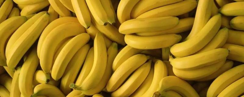 香蕉保存一个月的方法 香蕉怎么保存一个月
