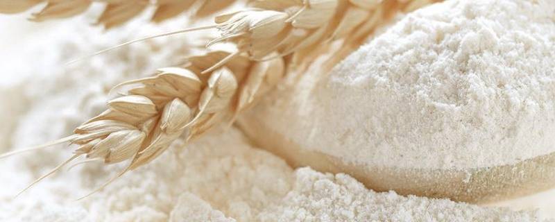 普通面粉怎么变成高筋面粉（普通面粉怎么变成高筋面粉做面包）