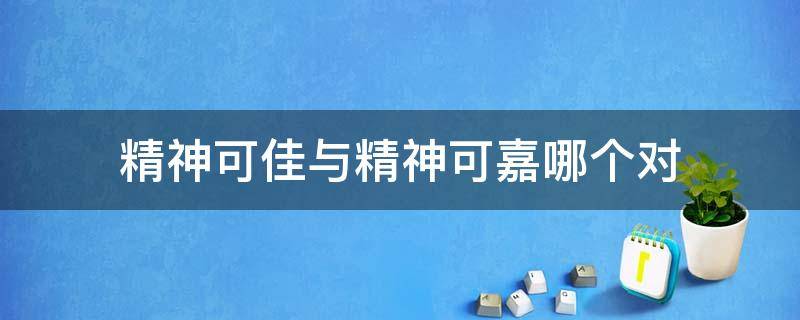 精神可佳与精神可嘉哪个对 精神可佳对不对