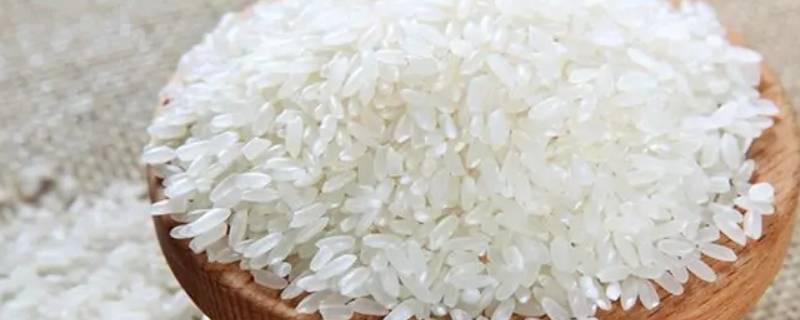 洗好的米不煮怎么保存 洗好的米不煮怎么保存晚缺氧,还是通风