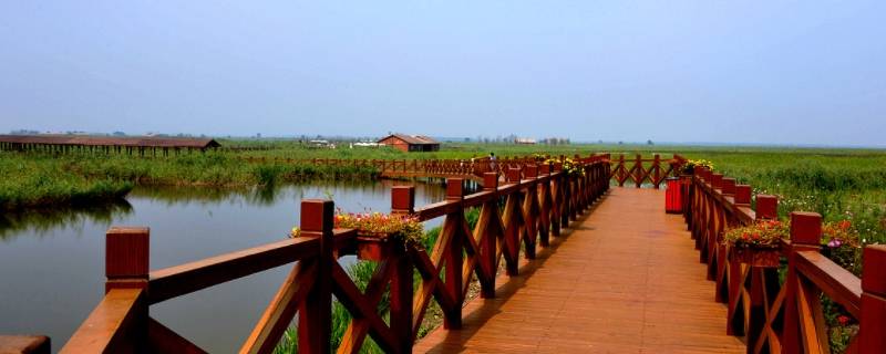 宁河区景点（宁河区旅游景点）