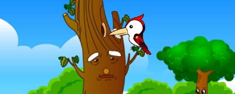 啄木鸟啄树的真正原因 啄木鸟为什么会啄树干