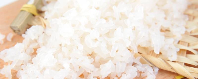 魔芋米可以长期代替米饭吗 魔芋米能当主食吗