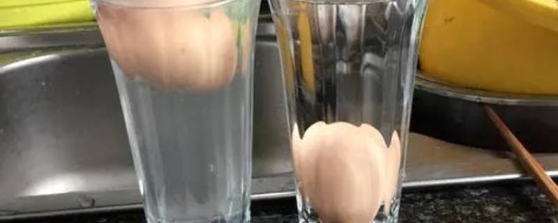 生鸡蛋怎么在水里浮起来 生鸡蛋怎么在水里浮起来的原理