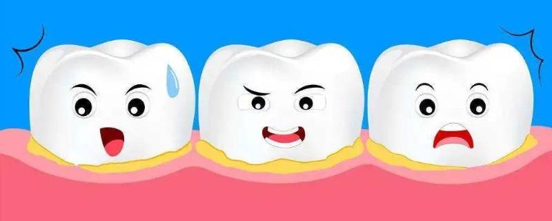如何保护牙齿的小知识 如何保护牙齿小常识