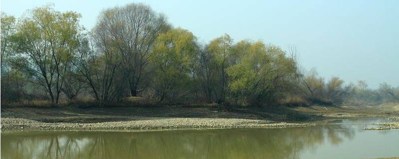 灞河源头在哪 西安灞河源头在哪