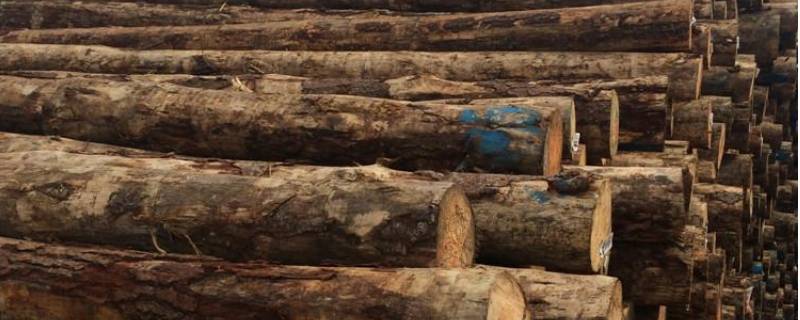 木头防腐处理的方法 木材防腐处理4种方法