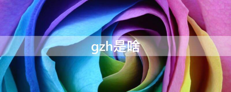 gzh是啥 GZ是什么