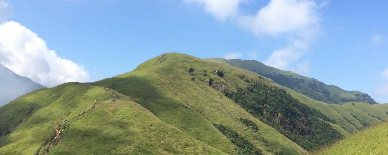 怎么理解绿水青山就是金山银山 怎么理解绿水青山就是金山银山英语