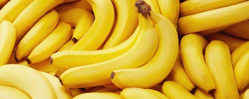 进口香蕉和国产香蕉区别 进口香蕉好还是国产香蕉好