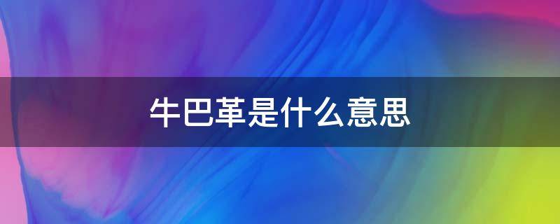 牛巴革是什么意思 什么是羊巴革