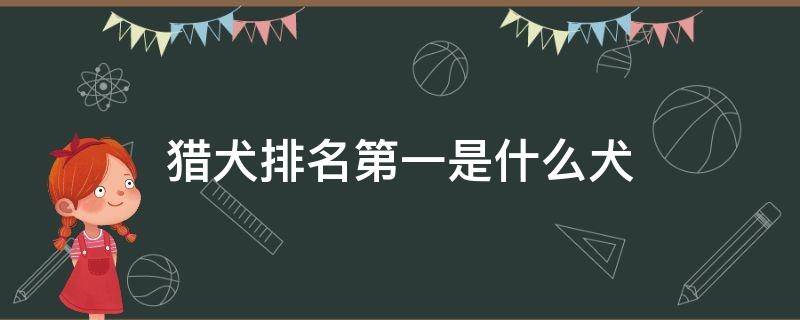 猎犬排名第一是什么犬 猎犬排名第一是什么犬图片