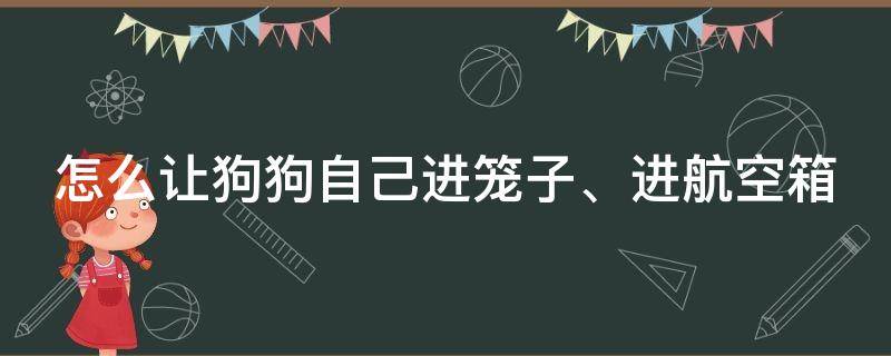 怎么让狗狗自己进笼子、进航空箱（怎么让狗狗自己进笼子,进航空箱里面）