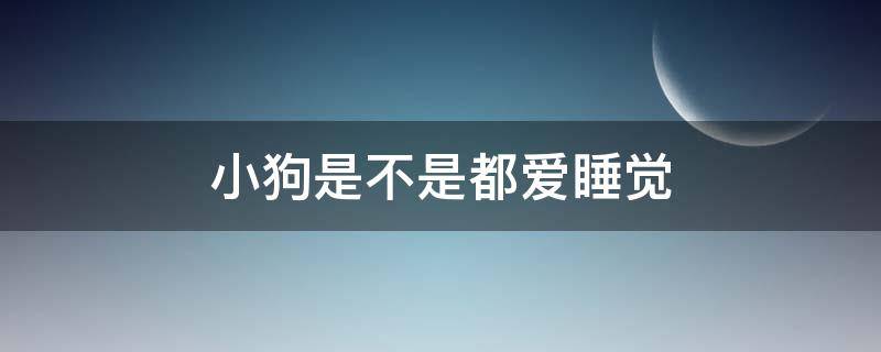 小狗是不是都爱睡觉（为什么小狗特别爱睡觉）