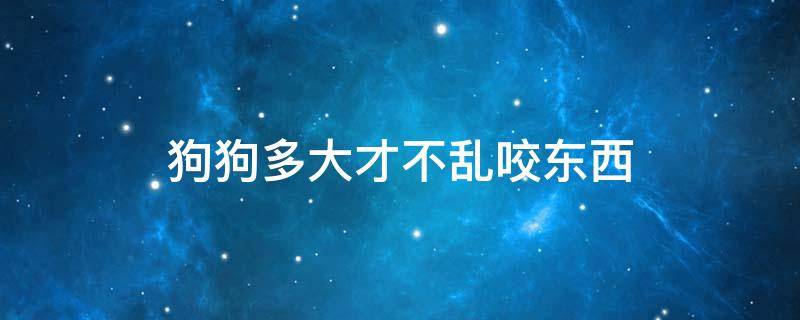 狗狗多大才不乱咬东西 狗多大就不爱咬东西了