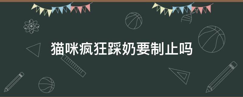 猫咪疯狂踩奶要制止吗 猫咪开始频繁踩奶