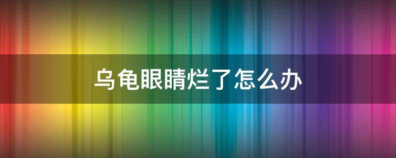 乌龟眼睛烂了怎么办 乌龟眼睛烂掉了