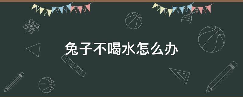 兔子不喝水怎么办 兔子不喝水怎么办?