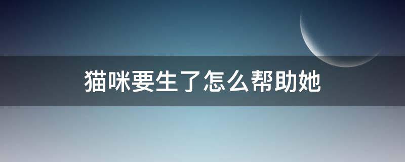 猫咪要生了怎么帮助她 猫咪要生了我该怎么办