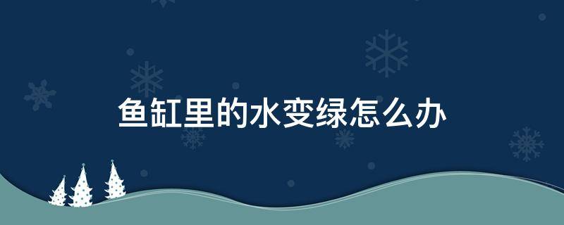 鱼缸里的水变绿怎么办 养鱼水变绿色怎么办