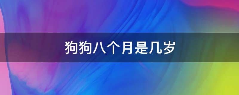 狗狗八个月是几岁 狗狗八个月多大