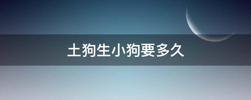 土狗生小狗要多久（土狗生小狗要多久生一个）