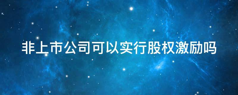 非上市公司可以实行股权激励吗（非上市公司可以实行股权激励吗）