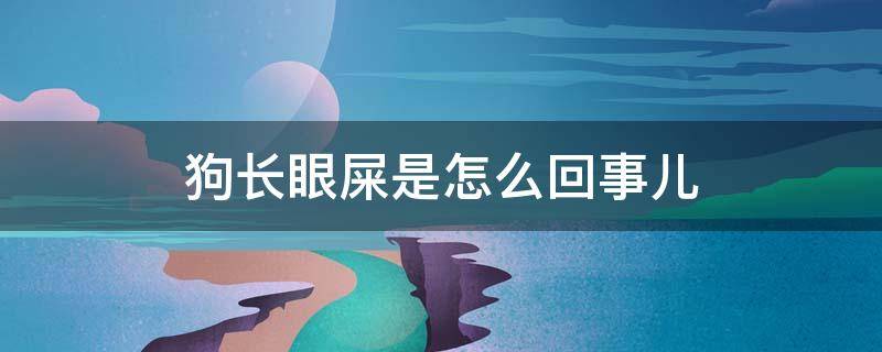 狗长眼屎是怎么回事儿 狗长眼屎是怎么回事儿怎么治