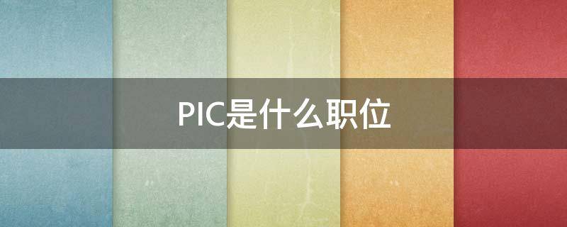 PIC是什么职位 pic的是什么岗位缩写