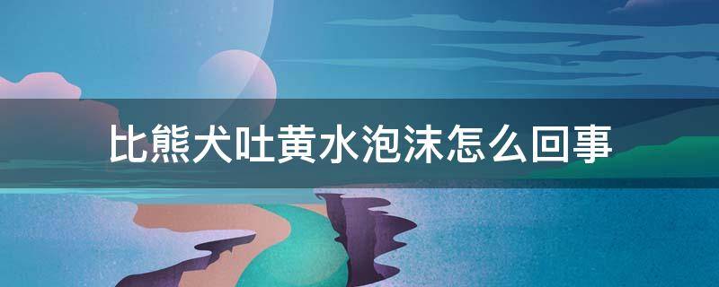 比熊犬吐黄水泡沫怎么回事 比熊吐黄沫是怎么了