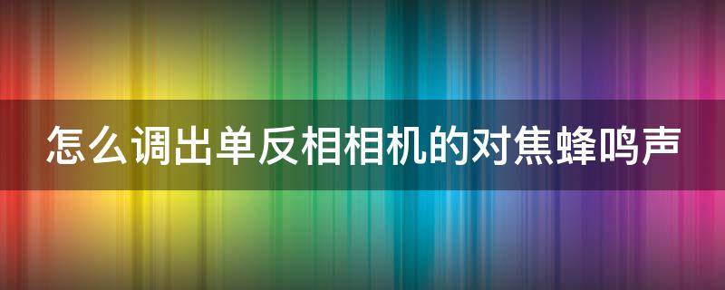 怎么调出单反相相机的对焦蜂鸣声（单反对焦声音滴滴滴怎么开）