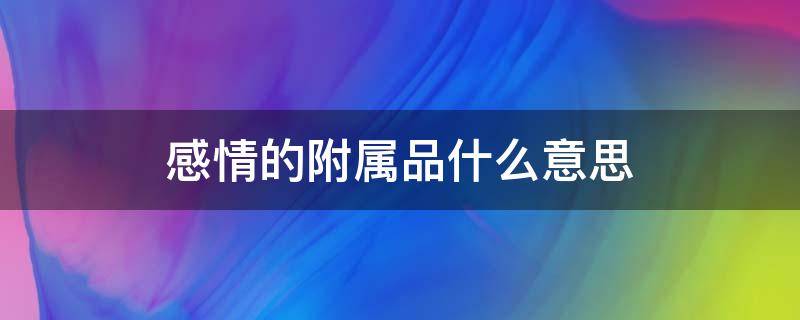 感情的附属品什么意思（爱情的附属品有哪些）