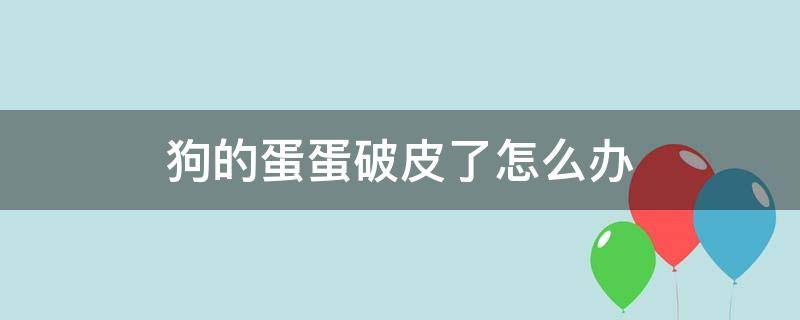 狗的蛋蛋破皮了怎么办 狗狗的蛋破皮了怎么办