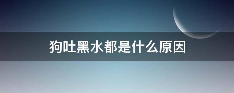 狗吐黑水都是什么原因 狗狗吐血吐黑水会是什么病