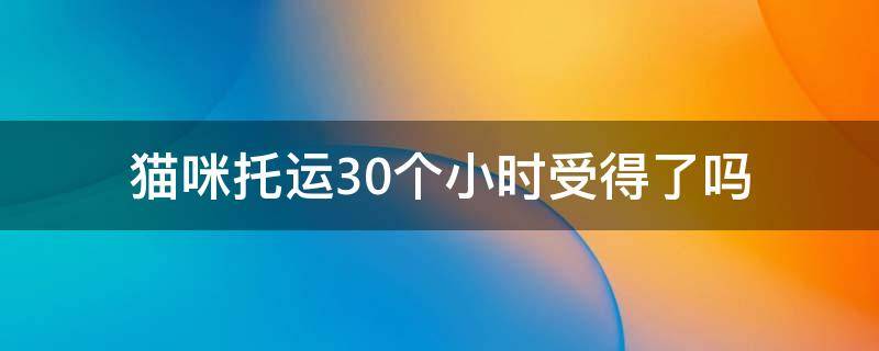 猫咪托运30个小时受得了吗 猫托运会难受吗