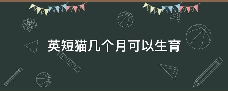 英短猫几个月可以生育 英短猫怀孕几个月可以生猫