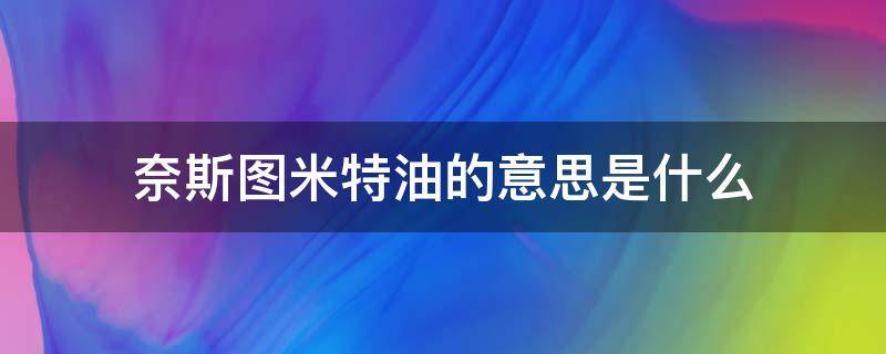 奈斯图米特油的意思是什么（奈斯吐米特油英语怎么说）