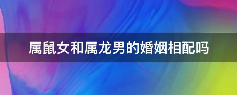 属鼠女和属龙男的婚姻相配吗 属鼠女和属龙男相配婚姻如何