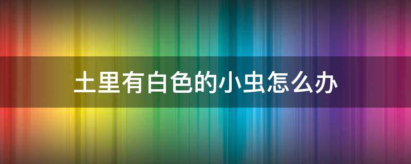 土里有白色的小虫怎么办 土里面有小白虫怎么办