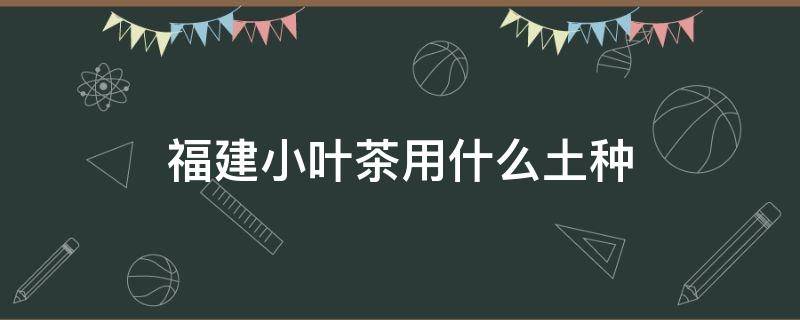 福建小叶茶用什么土种（福建茶用什么土栽培）