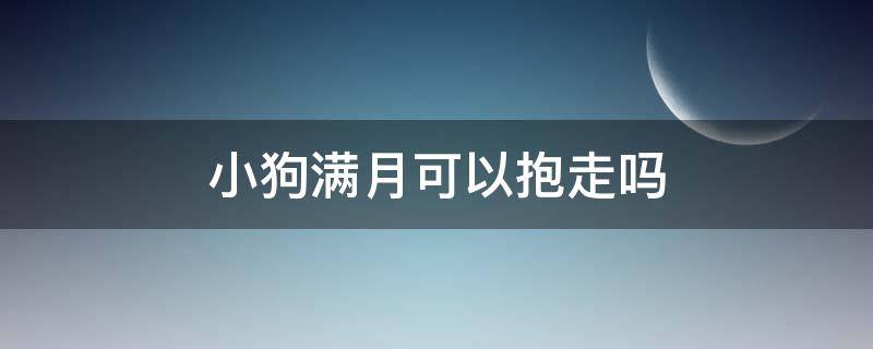 小狗满月可以抱走吗（刚满月的小狗可以抱走了吗）