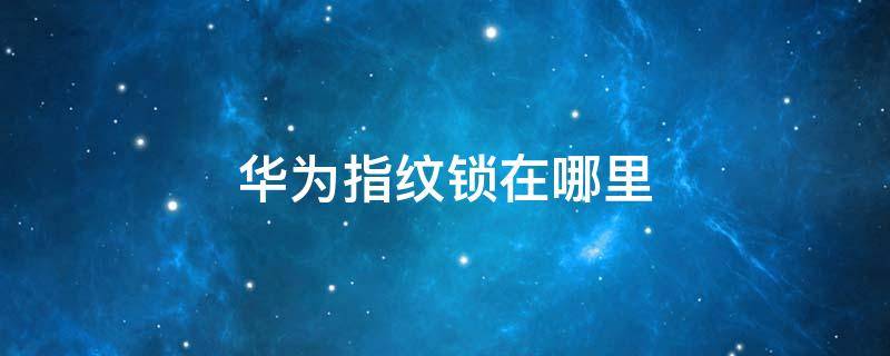 华为指纹锁在哪里（华为指纹锁在哪里解锁）