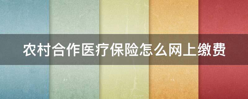 农村合作医疗保险怎么网上缴费（农村合作医疗保险网上缴费查询）