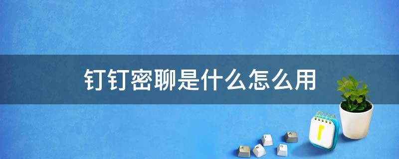 钉钉密聊是什么怎么用 钉钉密聊怎么使用