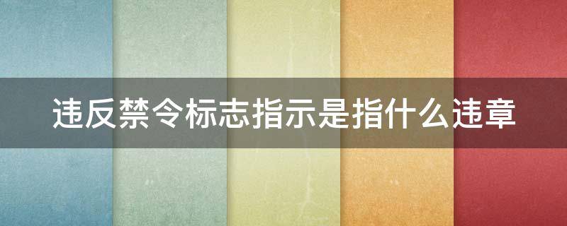 违反禁令标志指示是指什么违章（违反禁令标志指示是指什么违章标识）