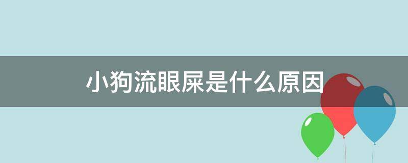 小狗流眼屎是什么原因（小狗的眼睛一直流眼屎）